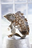 Jay Strongwater - Asagi Koi Fish Figurine