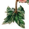 Jay Strongwater - Kora Peony Objet