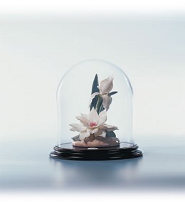Serenade In White Le300 2001-C by Lladro Image is watermarked for copyright protection and is not present on the actual art work.