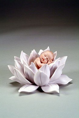 Water Lily Baby by Giuseppe Armani Image is watermarked for copyright protection and is not present on the actual art work.