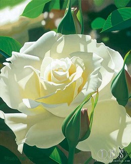 Pale Yellow Beauty by Brian Davis Image is watermarked for copyright protection and is not present on the actual art work.