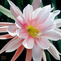 Blushing Beauty by Brian Davis Image is watermarked for copyright protection and is not present on the actual art work.