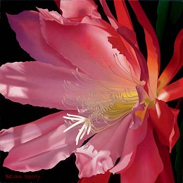 Crimson Fire by Brian Davis Image is watermarked for copyright protection and is not present on the actual art work.