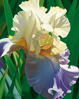 Kauais Tropical Beauty by Brian Davis Image is watermarked for copyright protection and is not present on the actual art work.
