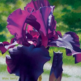 Passionate Purple Iris by Brian Davis Image is watermarked for copyright protection and is not present on the actual art work.