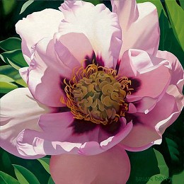 Pink Peony by Brian Davis Image is watermarked for copyright protection and is not present on the actual art work.