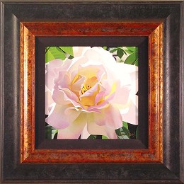 Single Pristine Rose Framed by Brian Davis Image is watermarked for copyright protection and is not present on the actual art work.