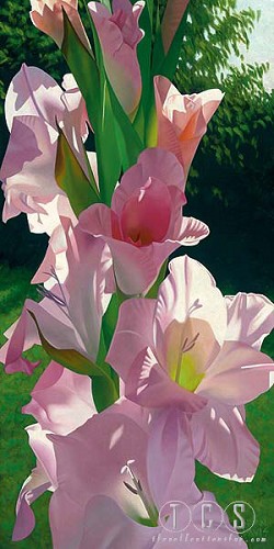 Katie's Gladiola by Brian Davis Image is watermarked for copyright protection and is not present on the actual art work.