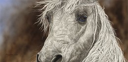 The Gift by Judy Larson Image is watermarked for copyright protection and is not present on the actual art work.