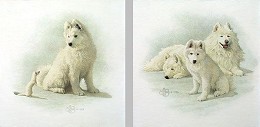 A Curious Encounter And A New Generation L.e.print by Scott Kennedy Image is watermarked for copyright protection and is not present on the actual art work.