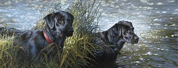 BLACK MAGIC ARTIST PROOF by Bonnie Marris Image is watermarked for copyright protection and is not present on the actual art work.