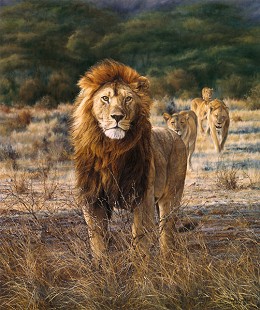 In His Prime by Simon Combes Image is watermarked for copyright protection and is not present on the actual art work.