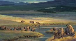 Buffalo Valley By Nancy Glazier by Nancy Glazier Image is watermarked for copyright protection and is not present on the actual art work.