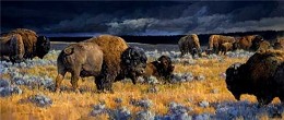 Restless By Nancy Glazier by Nancy Glazier Image is watermarked for copyright protection and is not present on the actual art work.