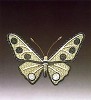 Lladro Great Butterfly #13