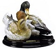 Giuseppe Armani Duck Kiss