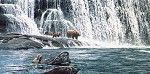 Ron Parker&nbsp;GRIZZLIES AT THE FALLS