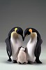 Giuseppe Armani Penguin Family