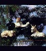 Lladro Nativity Trio ~ 3 Piece 1993 Only