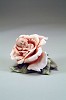 Giuseppe Armani Little Rose