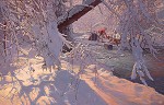 John Buxton&nbsp;Winter Windfall