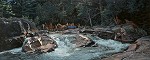 John Buxton&nbsp;Wilderness Inroads
