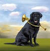 Robert Deyber&nbsp;Horn Dog