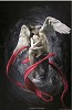 Fidel Garcia&nbsp;ANGEL OF TIME - ANGEL DEL TIEMPO