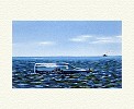 Fanny Brennan&nbsp;Tugboat Afloat