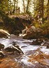 Howard Terpning&nbsp;CROWS IN THE YELLOWSTONE