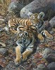 Carl Benders&nbsp;Endangered Ambassadors-Tiger Cubs