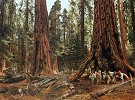 Paul Calle&nbsp;In the Land of the Giants