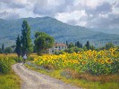 June Carey&nbsp;My Girasoli Artist Proof