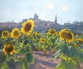 June Carey&nbsp;Sunflowers of Castiglion Fiorentino