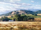 June Carey&nbsp;California Wine Country