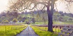 June Carey&nbsp;Early Spring Sonoma Valley