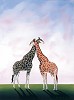 Robert Deyber&nbsp;Neck And Neck