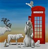 Robert Deyber&nbsp;Cold Call Arctic