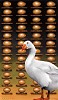 Robert Deyber&nbsp;The Golden Goose