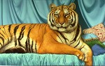 Tom Palmore&nbsp;Sheeba