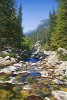 Larry Dyke&nbsp;Abundant Waters By Larry Dyke
