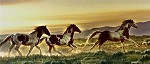 Nancy Glazier&nbsp;Early Morning Run By Nancy Glazier Canvas  Signed And Numbered