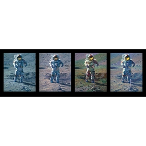 Alan Bean Apollo Moonscape An Explorer Artists Vision MASTERWORK EDITION Canvas
