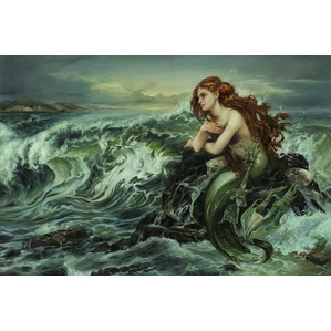 Heather Edwards_Drawn to the Shore Premiere Edition