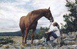 Steve Hanks